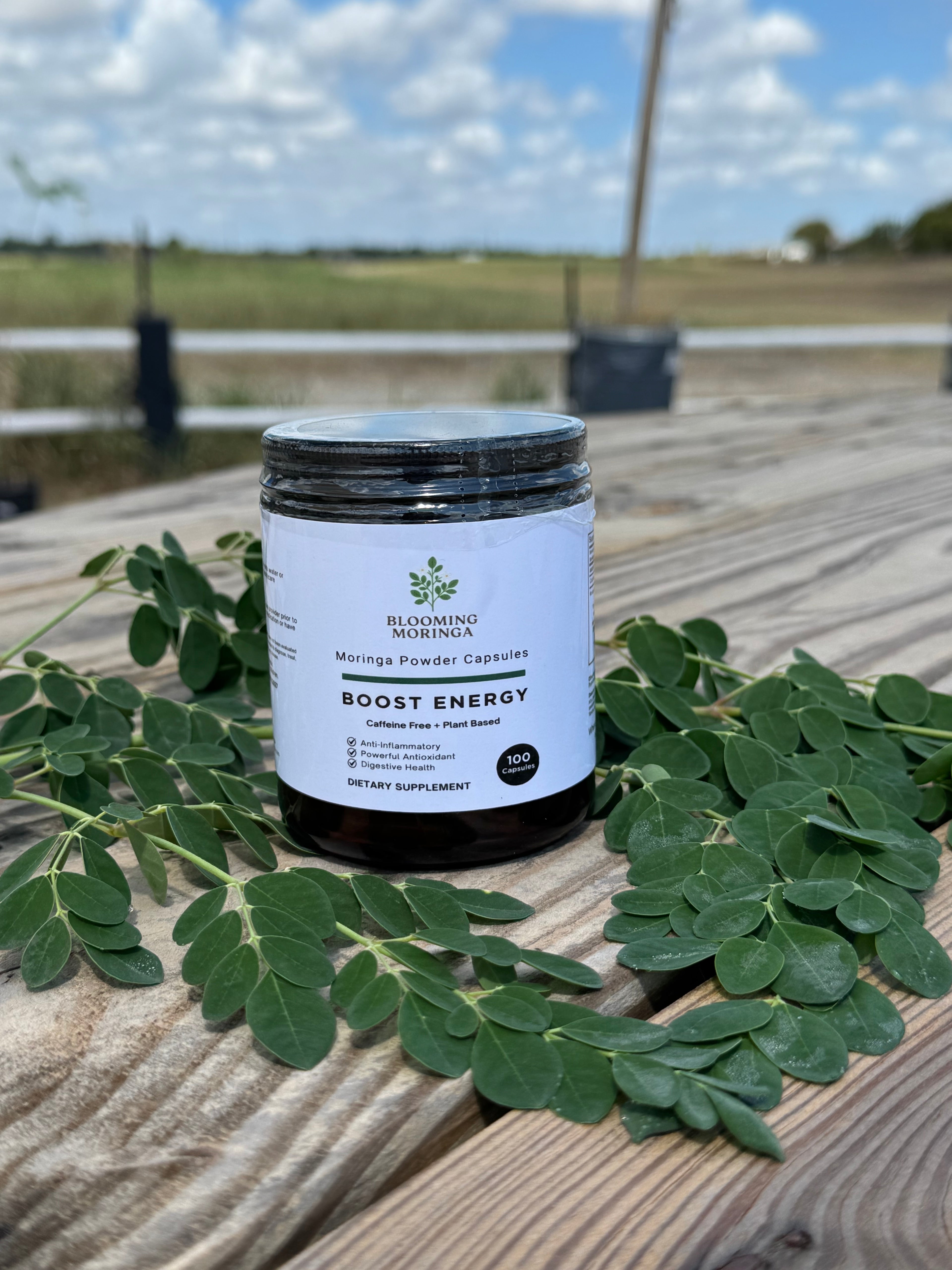 Moringa Powder Capsules