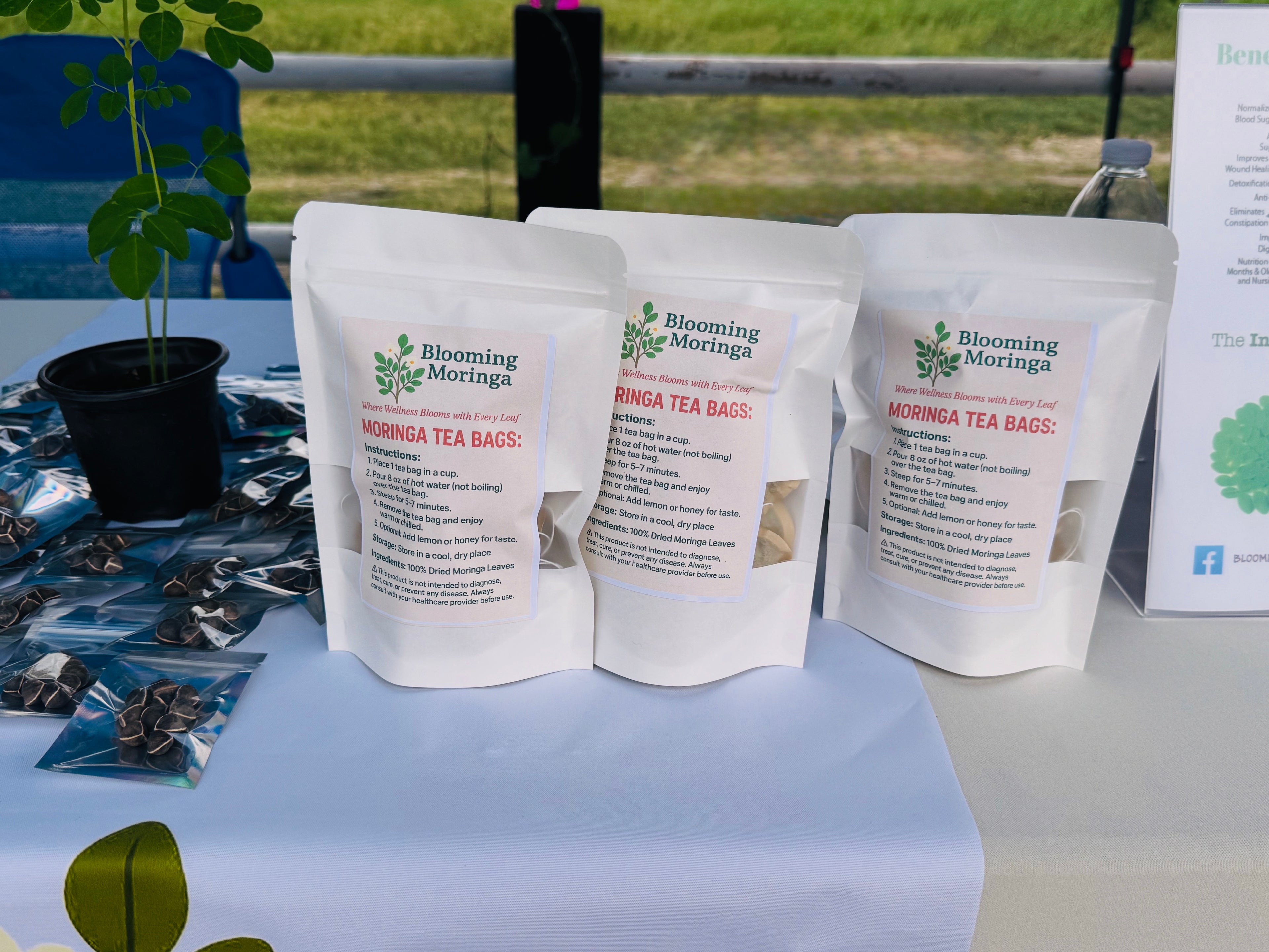 Dried Moringa Leaves Tea Bags