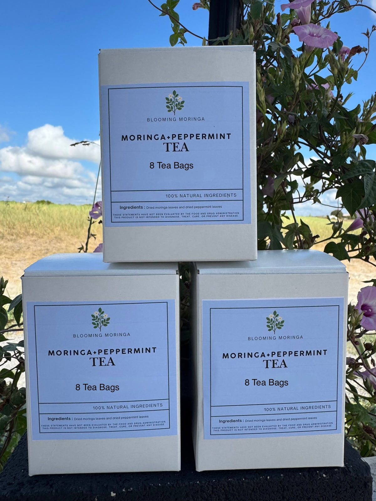 Moringa + Peppermint Tea